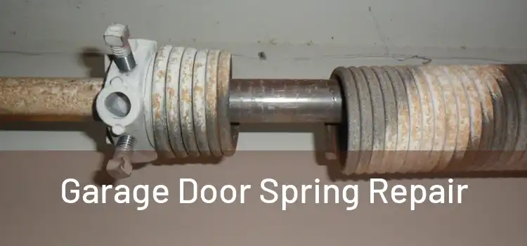 Garage Door Spring Repair 