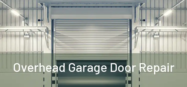  Overhead Garage Door Repair 